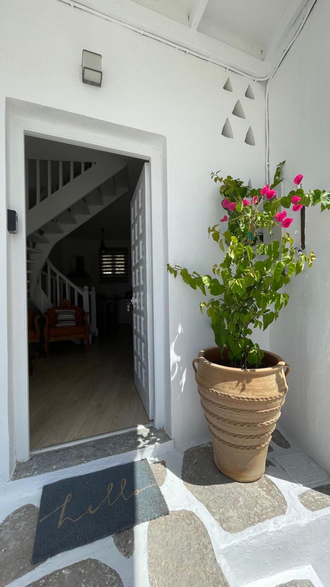 Anthoula Home Paros 纳乌萨 外观 照片